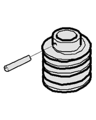 Червяк G2500 Came 119RIG094 в Уссурийске Запчасти для шлагбаумов и автоматики Pintop.ru