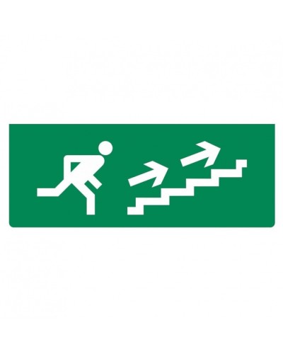 Табло М-12 Бегущий человек лестница вверх вправо(ИП Раченков А.В.) в Уссурийске Оповещатели Pintop.ru