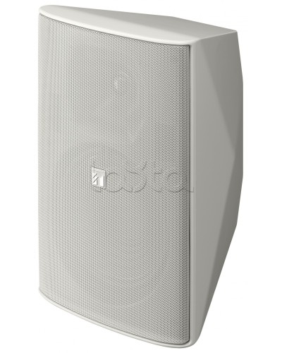 Громкоговоритель 2 полосный TOA F-2000 WTWP в Уссурийске Системы оповещения и трансляции TOA Pintop.ru