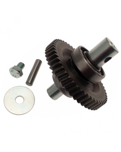 Шестерня редуктора FAST в сборе Came 119RID229 в Уссурийске Запчасти для шлагбаумов и автоматики Pintop.ru