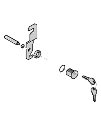 Замок дверцы G4040 G4041 Came 119RIG176 в Уссурийске Запчасти для шлагбаумов и автоматики Pintop.ru