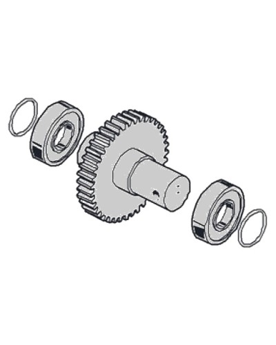 Моторедуктор G2081 G2081I Came 119RIG197 в Уссурийске Запчасти для шлагбаумов и автоматики Pintop.ru