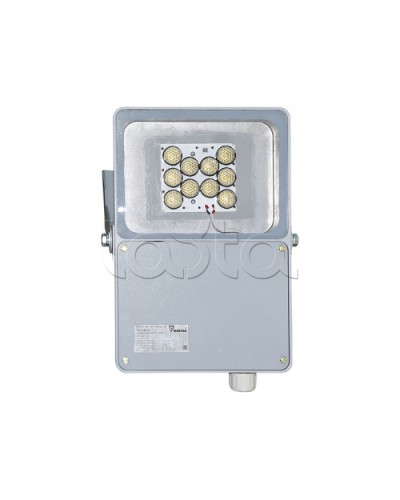 Прожектор светодиодный Forteza ФОСФОР-40/10-А (металл) в Уссурийске Аксессуары для средств охраны периметра Pintop.ru