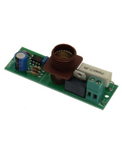 Плата лампы KIARO 24 Came 119RIR030 в Уссурийске Запчасти для шлагбаумов и автоматики Pintop.ru