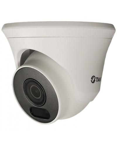Видеокамера в купольном исполнении уличная Tantos TSc-Ee2FN в Уссурийске Системы видеонаблюдения Pintop.ru