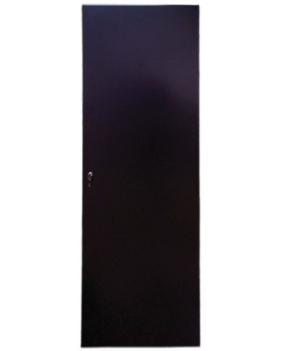 Дверь задняя для шкафов серии Business металл, 42U, ширина 800 мм TWT TWT-CBB-DRM1-42U-8 в Уссурийске Аксессуары для стоек и шкафов Pintop.ru