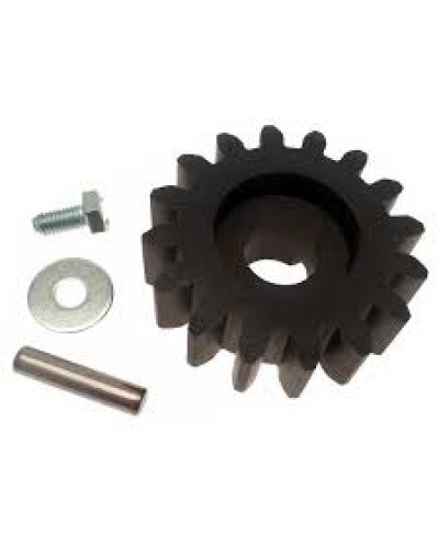 Шестерня для цепной передачи Came 119RIBK036 в Уссурийске Запчасти для шлагбаумов и автоматики Pintop.ru