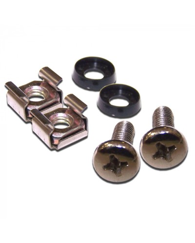 Крепежные винты для патч-панелей, 30 шт. в пачке LANMASTER (LAN-SC30) в Уссурийске Расходные материалы для шкафов и стоек Pintop.ru