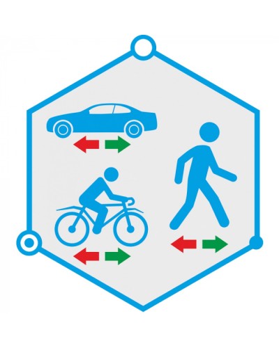 ПО детектор движения в запрещенном направлении TRASSIR Direction Detector в Уссурийске Системы видеонаблюдения Pintop.ru
