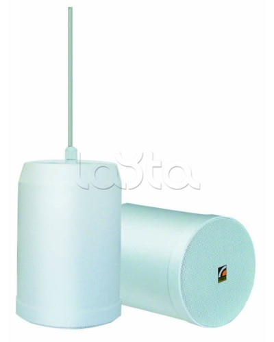 Громкоговоритель встраиваемый ROXTON SP-20T в Уссурийске Система оповещения и трансляции Roxton Pintop.ru