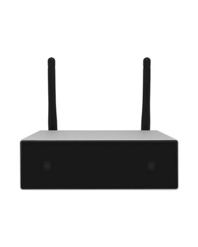 Усилитель потоковой передачи WIFI DSPPA DW-0250 в Уссурийске Система оповещения и трансляции Dsppa Pintop.ru