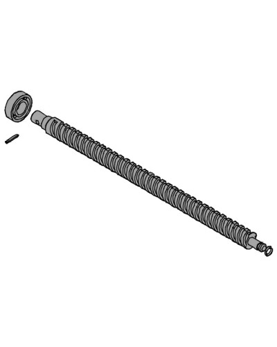 Винт ходовой AX302304, AX3024, АХ402306, AX412306 Came 119RID319 в Уссурийске Запчасти для шлагбаумов и автоматики Pintop.ru