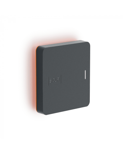 Считыватель SIGUR MR1 BLE в Уссурийске Считыватели Pintop.ru