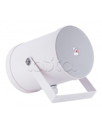 Двунаправленный Прожектор звуковой ROXTON SW-10T2 в Уссурийске Система оповещения и трансляции Roxton Pintop.ru