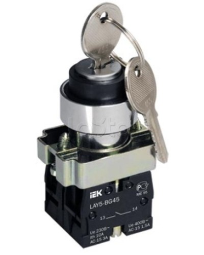 Переключатель LAY5-BG45 на 2 положения с ключом без фиксации IEK BSW80-BG-2-K02 в Уссурийске Аксессуары для стоек и шкафов Pintop.ru
