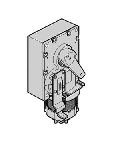 Моторедуктор G2500 Came 119RIG201 в Уссурийске Запчасти для шлагбаумов и автоматики Pintop.ru