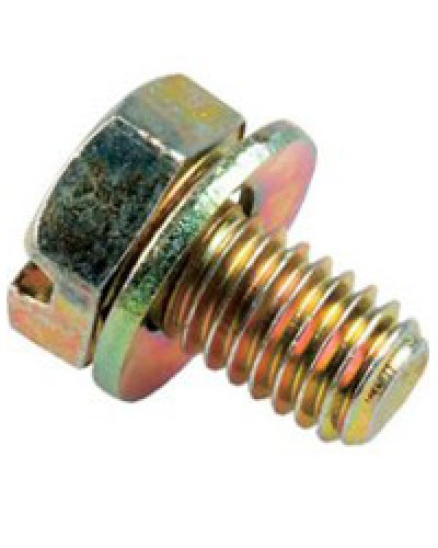 Винт с шайбой М6х10мм TH Legrand 036775 в Уссурийске Крепеж Pintop.ru