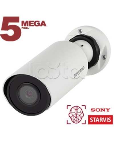 IP-камера видеонаблюдения в стандартном исполнении Beward SV3218R2 2.8 в Уссурийске IP-камеры Pintop.ru