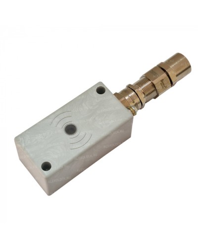 Считыватель взрывозащищенный ALeko ALM-RD-S08-FM-RMFEH-T в Уссурийске Считыватели Pintop.ru