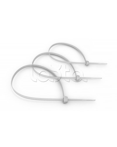 Стяжка нейлоновая неоткрывающаяся, безгалогенная (halogen free) 100x2.5мм, (100 шт) Cabeus CT-100 в Уссурийске Аксессуары для кабель-канала Pintop.ru