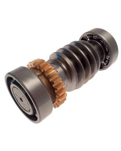 Червяк FROG Came 119RIA016 в Уссурийске Запчасти для шлагбаумов и автоматики Pintop.ru