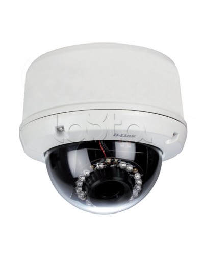 IP-камера видеонаблюдения уличная купольная D-Link DCS-6510/EP в Уссурийске IP-камеры Pintop.ru