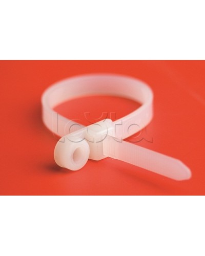 Хомут P6.6 с основанием, белый, 4,8x200 DKC 252205-M в Уссурийске Стяжки-хомуты Pintop.ru