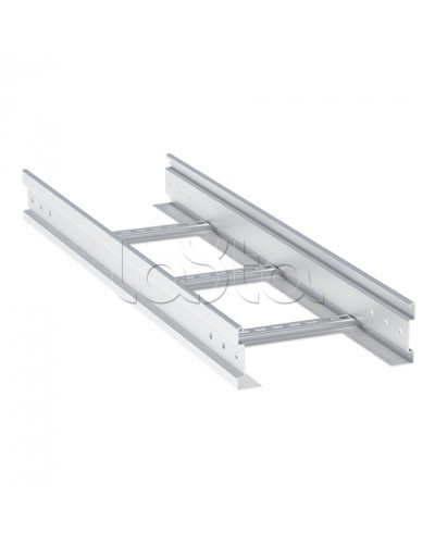 Лоток лестничный усиленный 100х900х3000-2,0 мм EKF (LTP100900-2) в Уссурийске Кабельные лотки Pintop.ru