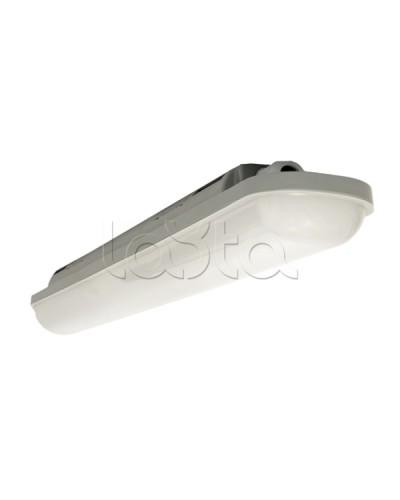 Светильник светодиодный пылевлагозащищенный ДСП-1008 Айсберг-Э 18Вт 6500К IP65 600мм EKF (TPL-1008-18-6500-A) в Уссурийске Светильники Pintop.ru