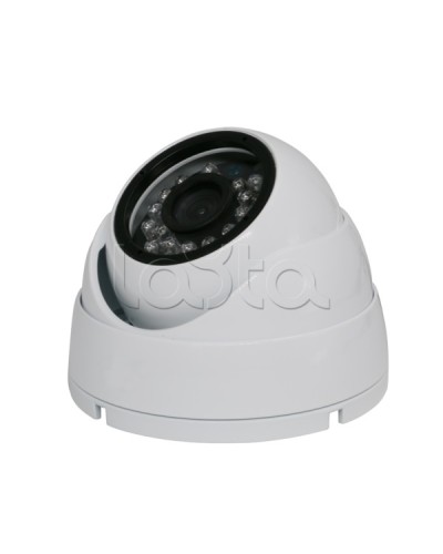 Камера видеонаблюдения купольная EverFocus ACE-IAB20XHD в Уссурийске Аналоговые камеры Pintop.ru