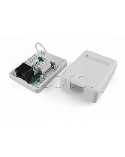 Розетка компьютерная RJ-45(8P8C) Hyperline SB1-2-8P8C-C6-SH-WH в Уссурийске Розетки компьютерные и телефонные Pintop.ru