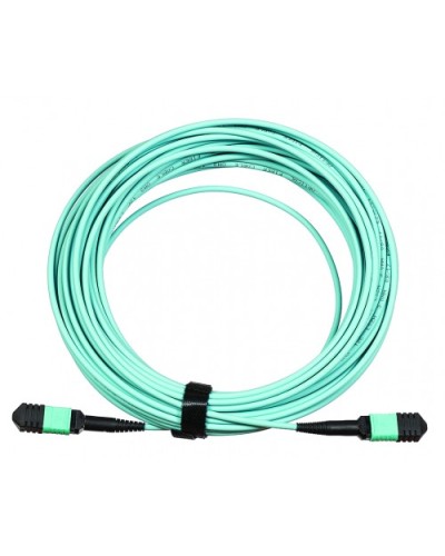 Сборка кабельная LANMASTER (LAN-12M-12M/OM3B-20) в Уссурийске Коннекторы Pintop.ru