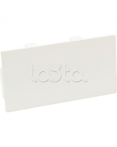 Заглушка торцевая для кабельного канала 100х50 SPL 100002S в Уссурийске Аксессуары для кабель-канала Pintop.ru