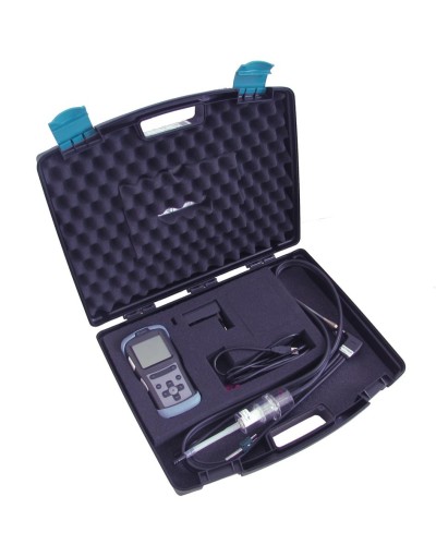 Газоанализатор Seitron CHEMIST 101 в Уссурийске Технологические извещатели Pintop.ru