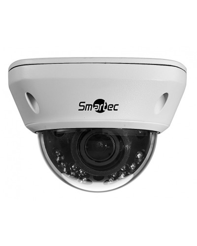 IP-камера видеонаблюдения купольная Smartec STC-IPM5591/1 в Уссурийске IP-камеры Pintop.ru