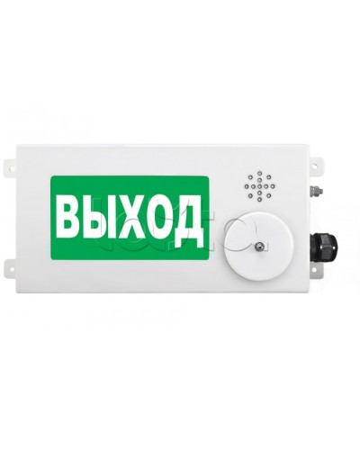 Табло световое взрывозащищенное Спектрон ТСВ-Exm-М-Прометей-МИНИ 220В в Уссурийске Оповещатели Ex Pintop.ru