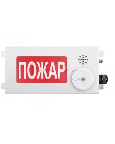 Табло светозвуковое взрывозащищенное Спектрон ТСЗВ-Exi-М-Прометей-МИНИ 12-36В в Уссурийске Оповещатели Ex Pintop.ru