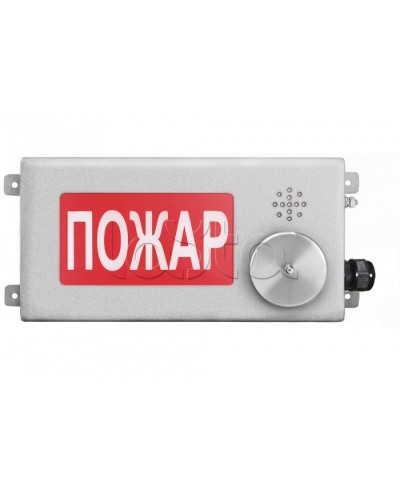 Табло светозвуковое взрывозащищенное Спектрон ТСЗВ-Exm-Н-Прометей-МИНИ 12-36В в Уссурийске Оповещатели Ex Pintop.ru