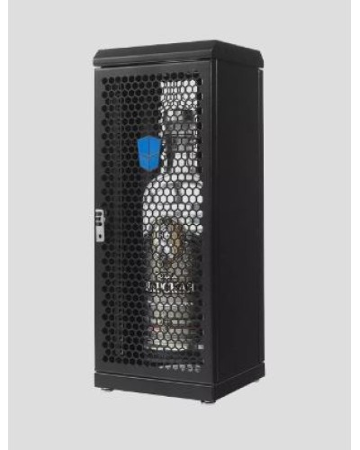 Шкаф серверный сувенирный ЦМО (ШТК-СП-С-8.1.1-9005) в Уссурийске Аксессуары для стоек и шкафов Pintop.ru