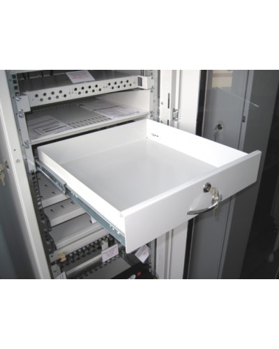 Полка ящик для документации 3U ЦМО ТСВ-Д-3U.450 в Уссурийске Полки для шкафов и стоек Pintop.ru