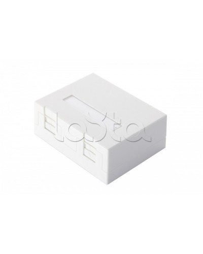 Настенная коробка 2-портовая со шторками, белый Eurolan (12B-04-02WT-2) в Уссурийске Розетки компьютерные и телефонные Pintop.ru