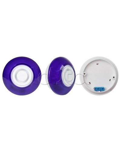 Оповещатель комбинированный SLT Марс 12-КП (строб, син) в Уссурийске Оповещатели Pintop.ru