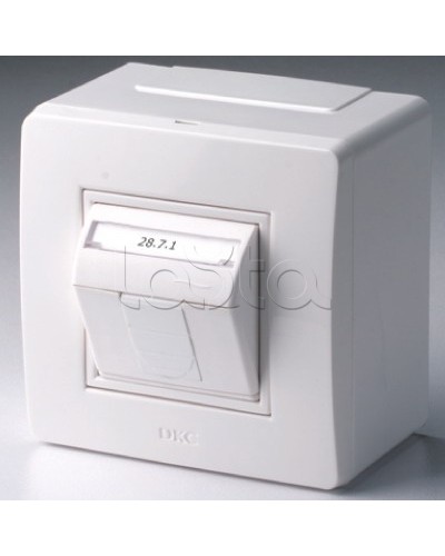 Коробка в сборе с 1 розеткой RJ45, кат.5е (телефон / компьютер), белая DKC 10665 в Уссурийске Распределительные коробки Pintop.ru