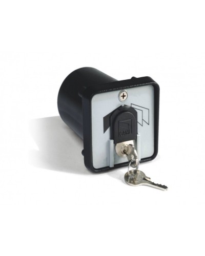 Ключ-выключатель с защитой цилиндра, встраиваемый Came 001SET-K в Уссурийске Запчасти для шлагбаумов и автоматики Pintop.ru