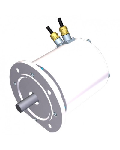 Электродвигатель FROG-MD Came 119RIA080 в Уссурийске Запчасти для шлагбаумов и автоматики Pintop.ru