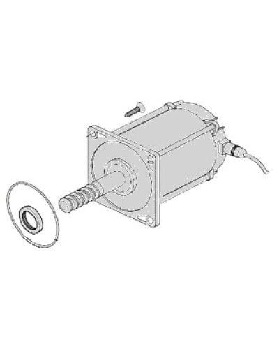 Электродвигатель Came 119RIA025 в Уссурийске Запчасти для шлагбаумов и автоматики Pintop.ru
